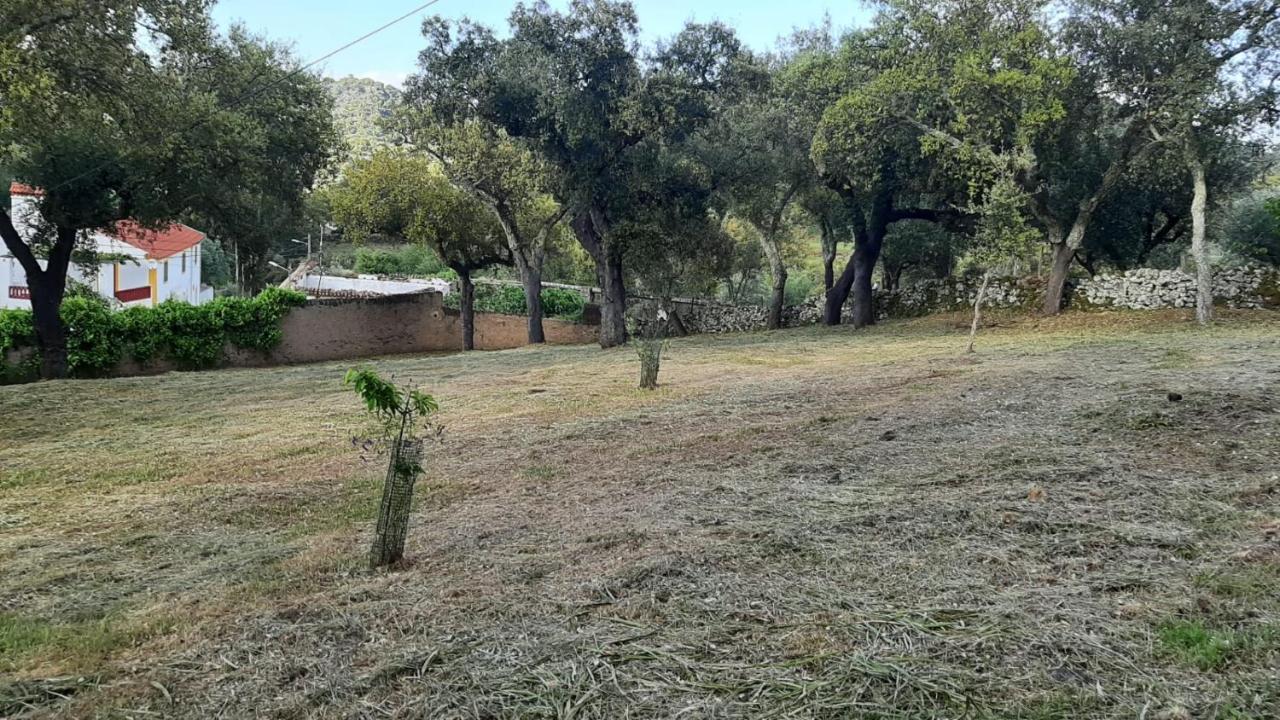Villa Casa Do Passaro Galegos  Exterior foto
