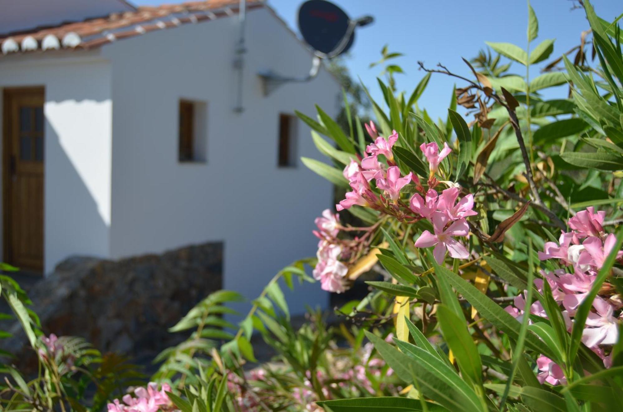 Villa Casa Do Passaro Galegos  Exterior foto